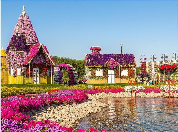Miracle Garden